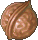 核桃