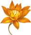 信仰之花