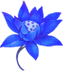 忠诚之花
