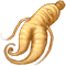 人参